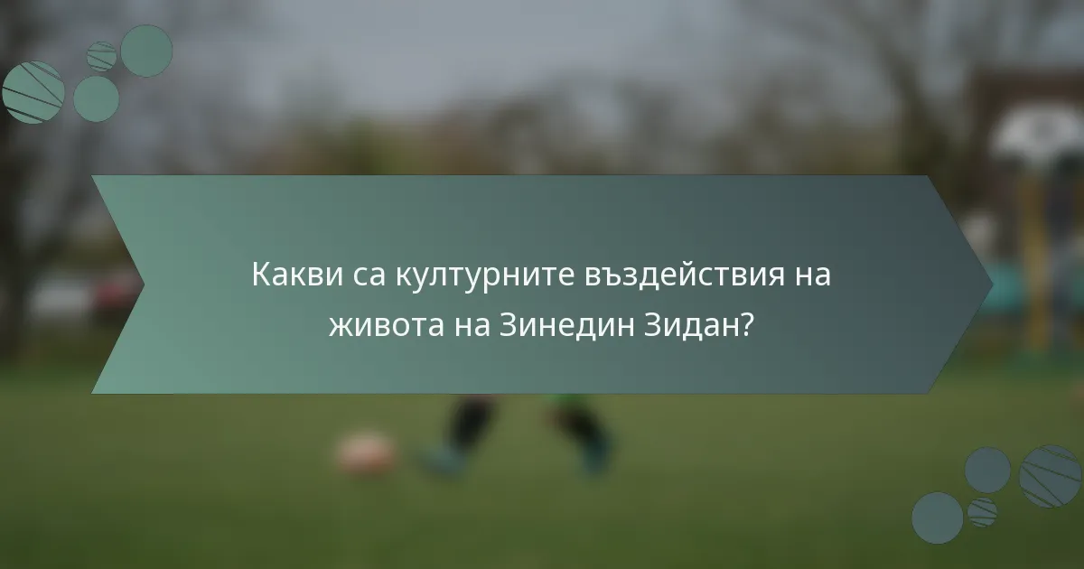 Какви са културните въздействия на живота на Зинедин Зидан?