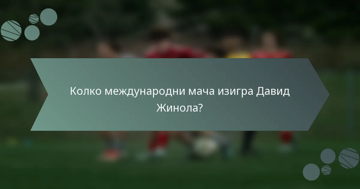Колко международни мача изигра Давид Жинола?