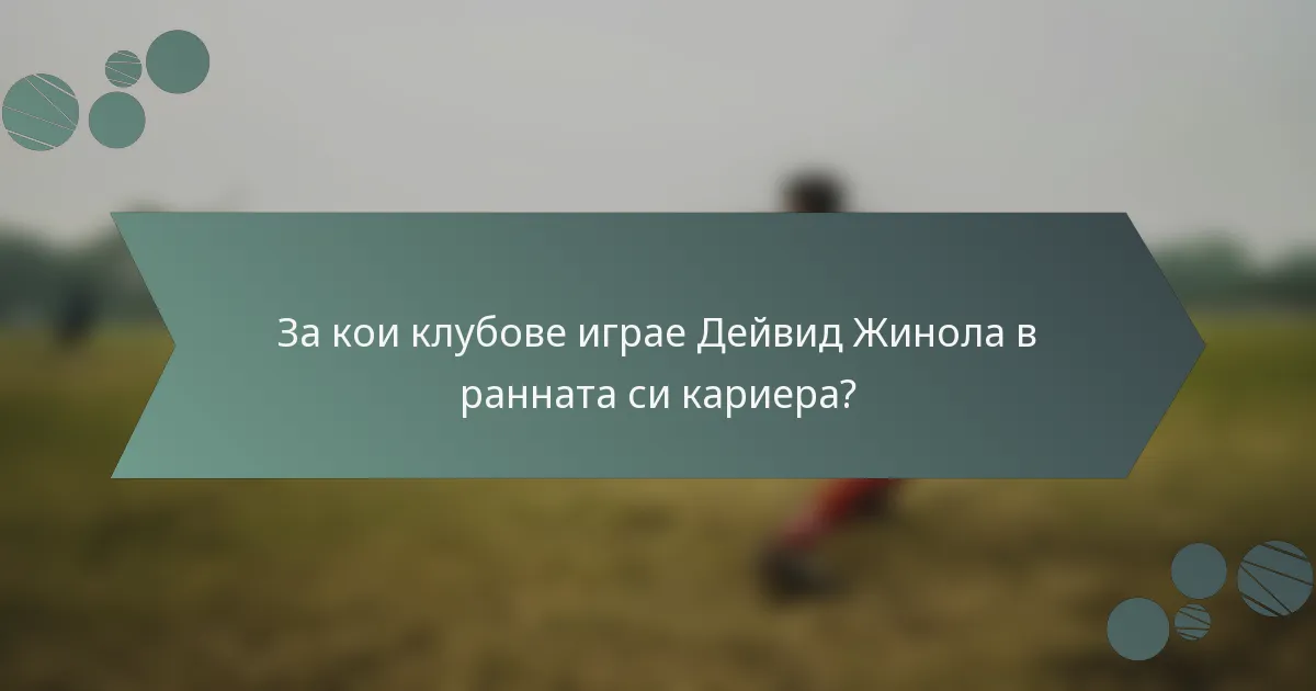 За кои клубове играе Дейвид Жинола в ранната си кариера?
